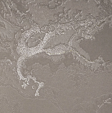 Обои для гостиной Bernardo Bartalucci Gaga  84282-25