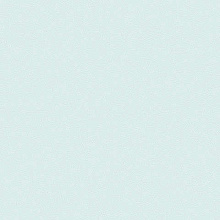 Andrea Rossi Gallinara 54310-5