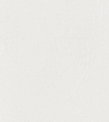 Серые обои для стен Bernardo Bartalucci Gaga  84284-7