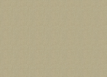 Водостойкие обои Rasch Florentine Incanto 820577