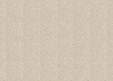 Водостойкие обои Rasch Florentine Incanto 820560